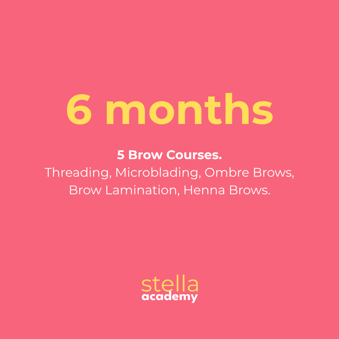 Six-month Complete Brow Artist Programme