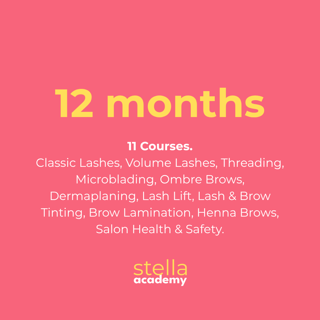 Twelve-month Stella Master Artist Programme